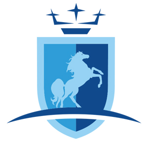 PEGASO SECURITY S.P.A.