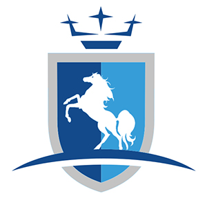 PEGASOTECNOLOGIE