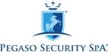 Pegaso Security S.p.A. - Servizi di vigilanza e sicurezza