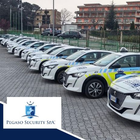 Pegaso Security